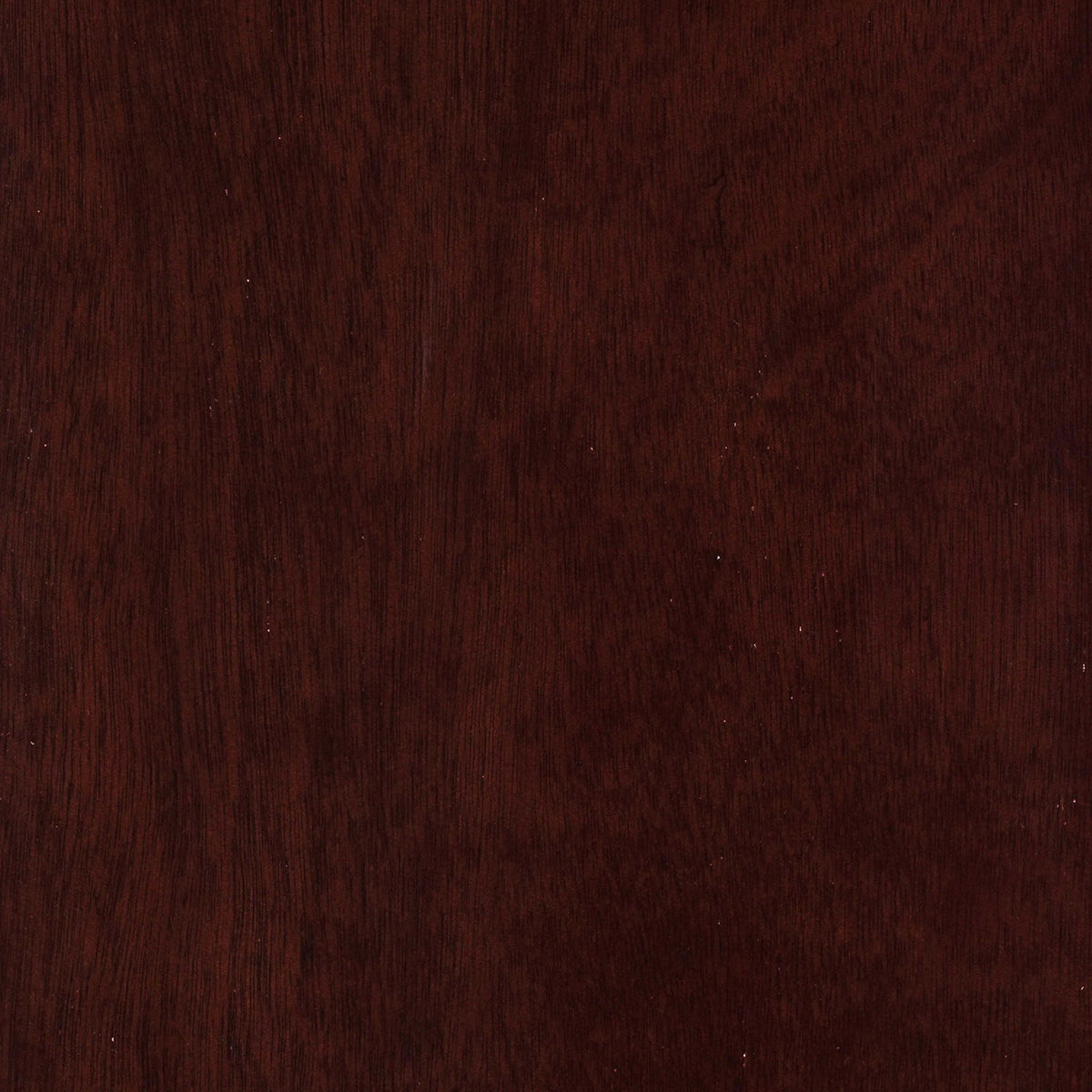 Bunk bed image on dark wood grain surface on Tampa Home & Garden Store
