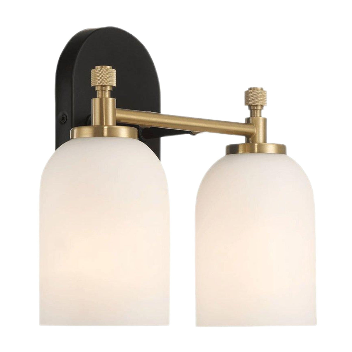 2-light vanity sconce with frosted glass shades on black backplate and brass arms on Tampa Home & Garden Store