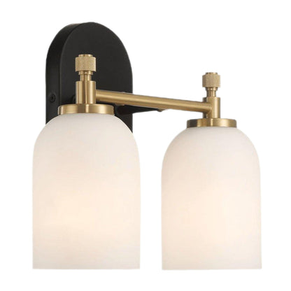 2-light vanity sconce with frosted glass shades on black backplate and brass arms on Tampa Home & Garden Store