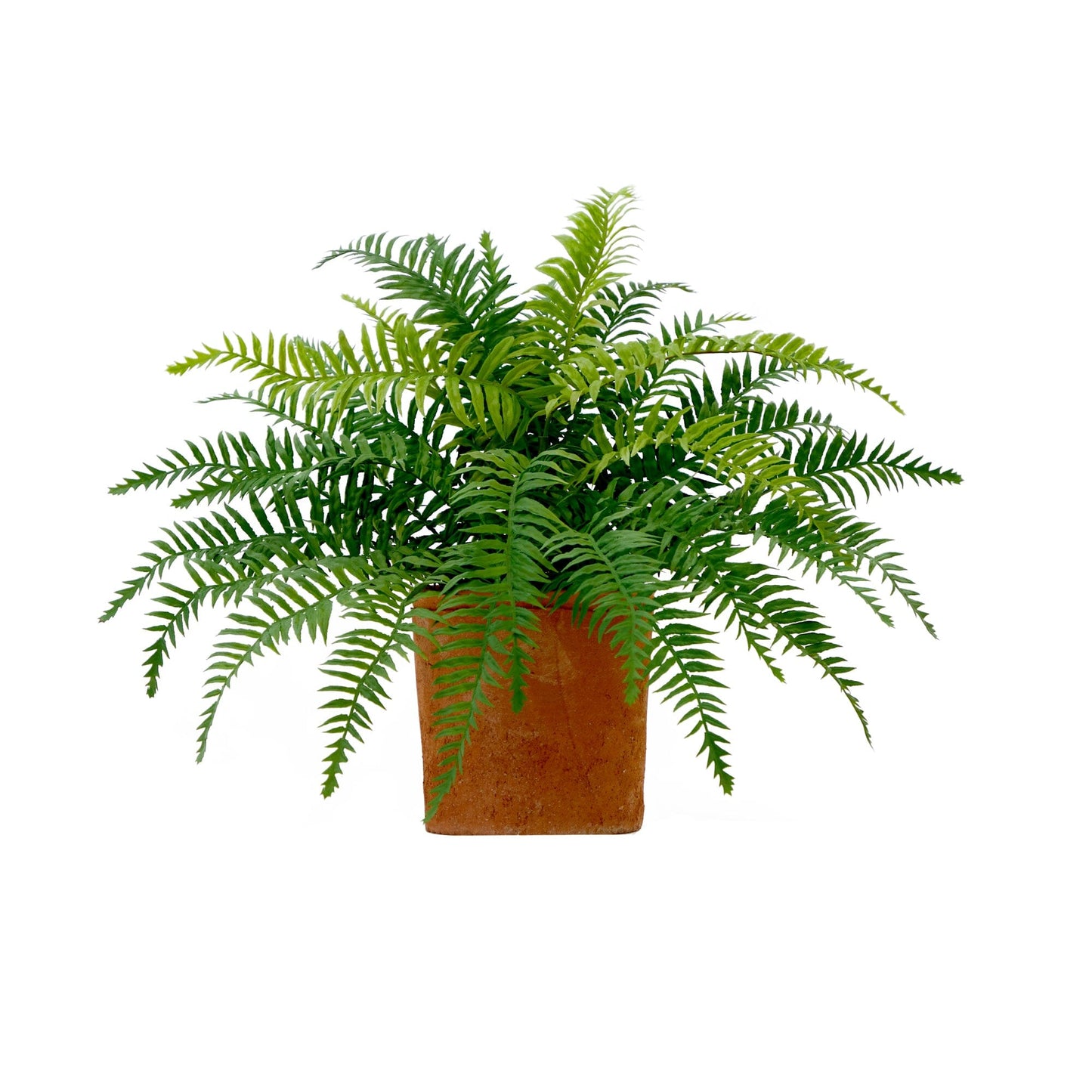 22” Artificial Fern Plant in Decorative Planter - Tampa Home & Garden Store