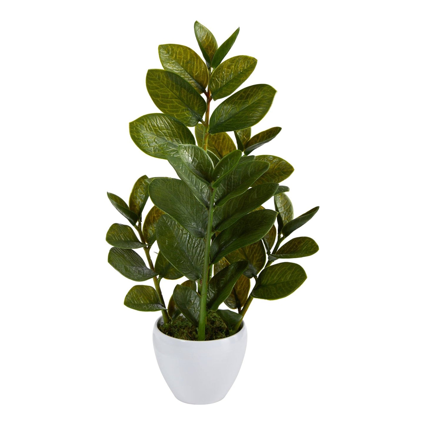 22” Zamioculcas Artificial Plant in White Planter - Tampa Home & Garden Store