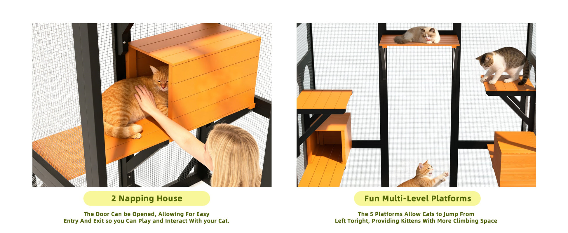 62.6in solid wood pet enclosure with orange napping house; cat being petted by hand on Tampa Home & Garden Store
62.6in solid wood pet enclosure with fun multi-level orange platforms; cats exploring on Tampa Home & Garden Store