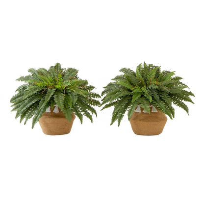 23” Artificial Boston Fern Plant with Handmade Jute & Cotton Basket with Tassels DIY KIT - Set of 2 - Tampa Home & Garden Store