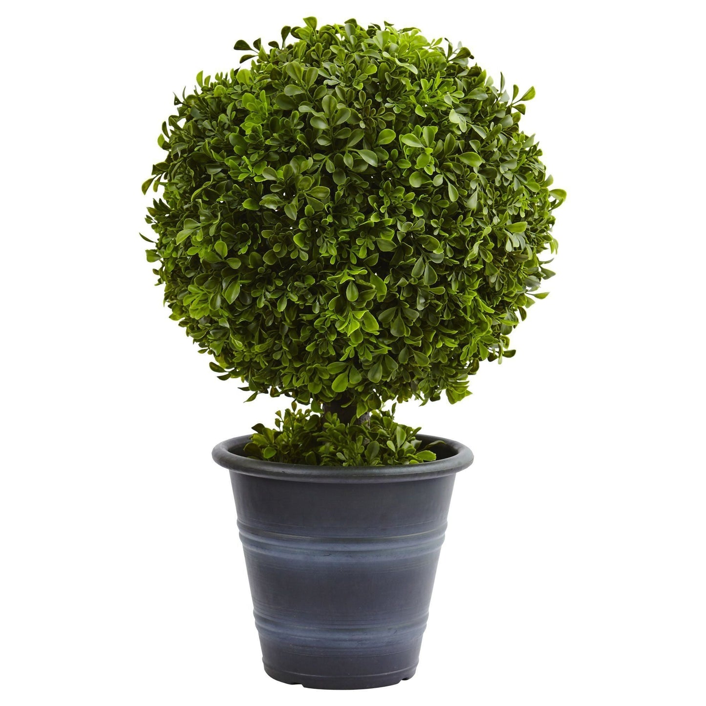 23” Boxwood Ball Topiary - Tampa Home & Garden Store