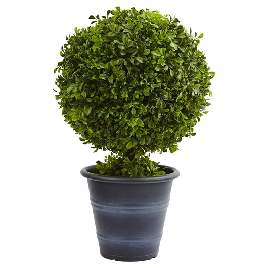 23” Boxwood Ball Topiary - Tampa Home & Garden Store