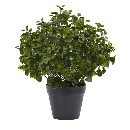 23” Peperomia Plant UV Resistant (Indoor/Outdoor) - Tampa Home & Garden Store
