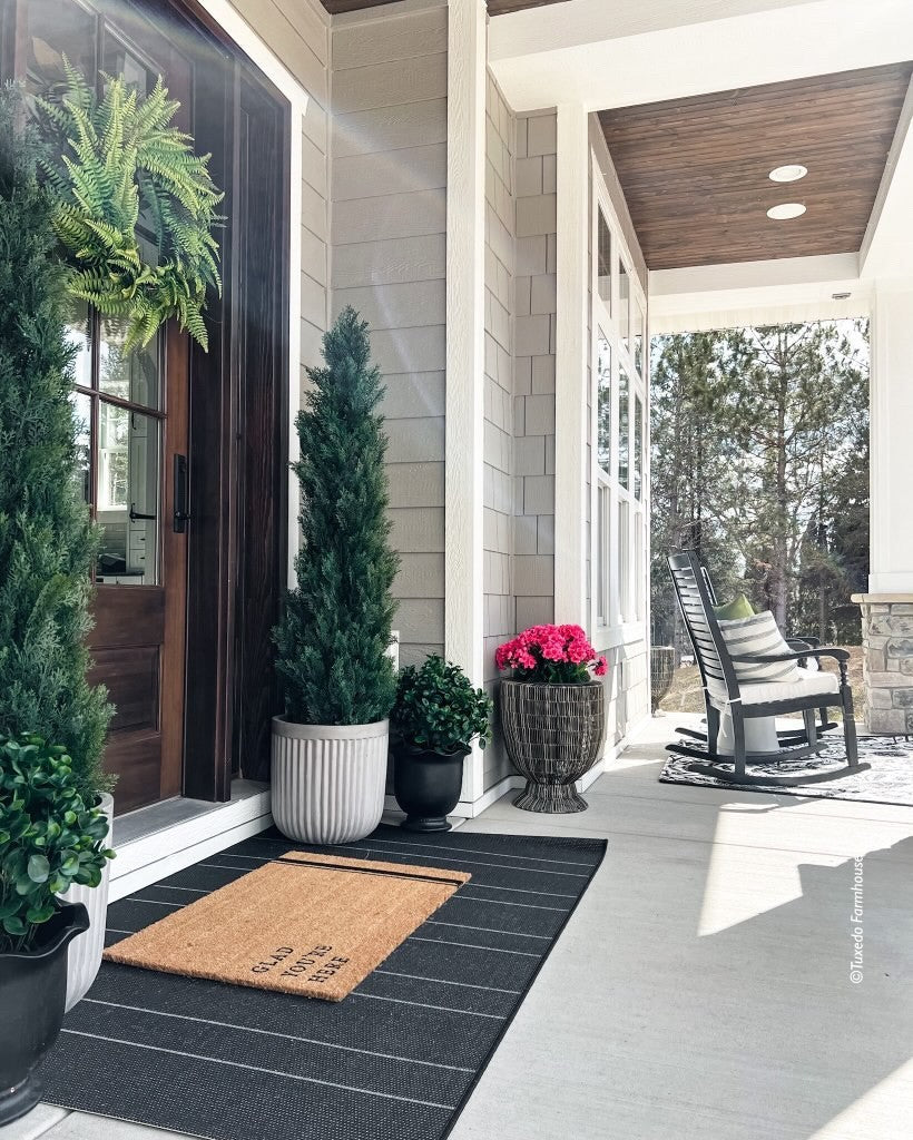 23” Peperomia Plant UV Resistant (Indoor/Outdoor) - Tampa Home & Garden Store