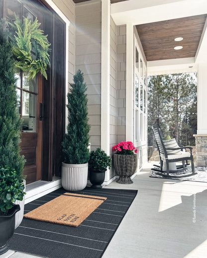 23” Peperomia Plant UV Resistant (Indoor/Outdoor) - Tampa Home & Garden Store