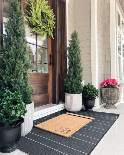 23” Peperomia Plant UV Resistant (Indoor/Outdoor) - Tampa Home & Garden Store