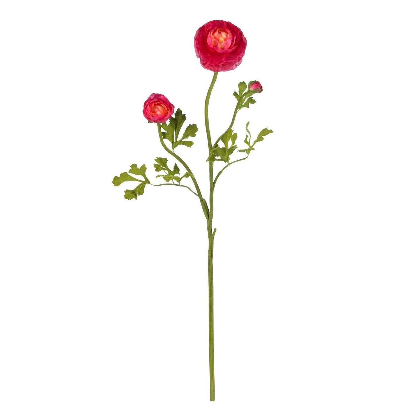 23" Ranunculus Stem (Set of 12)" - Tampa Home & Garden Store