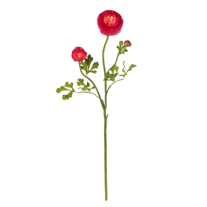 23" Ranunculus Stem (Set of 12)" - Tampa Home & Garden Store