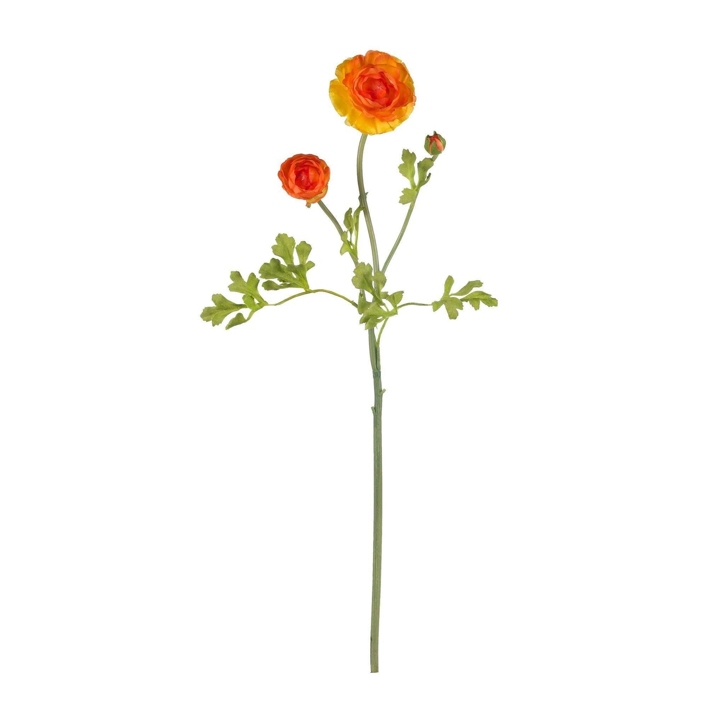 23" Ranunculus Stem (Set of 12)" - Tampa Home & Garden Store