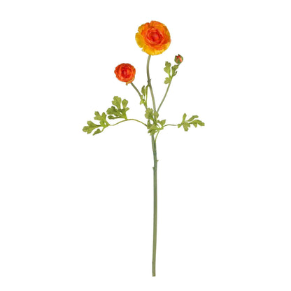 23" Ranunculus Stem (Set of 12)" - Tampa Home & Garden Store