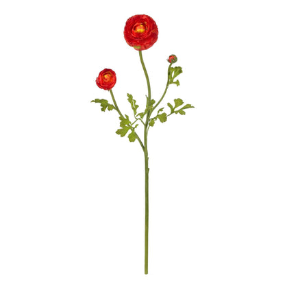23" Ranunculus Stem (Set of 12)" - Tampa Home & Garden Store