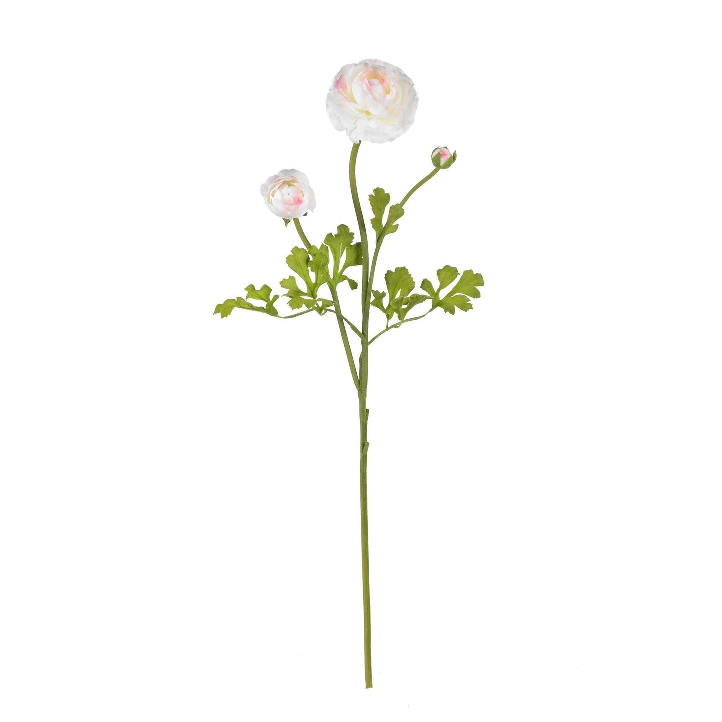 23" Ranunculus Stem (Set of 12)" - Tampa Home & Garden Store