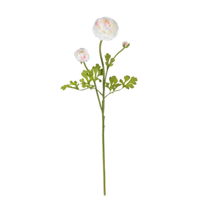 23" Ranunculus Stem (Set of 12)" - Tampa Home & Garden Store
