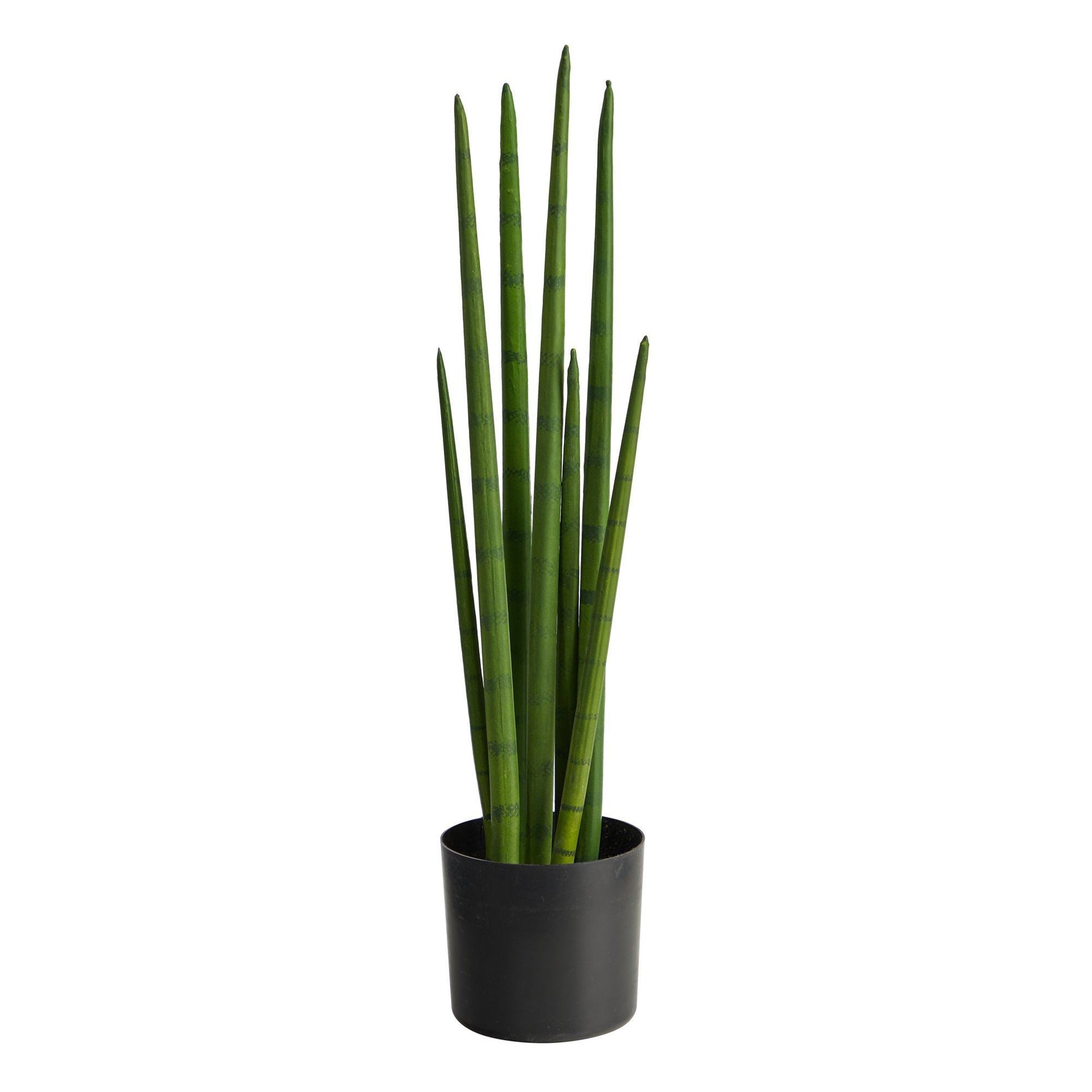 23” Sansevieria Snake Artificial Plant - Tampa Home & Garden Store