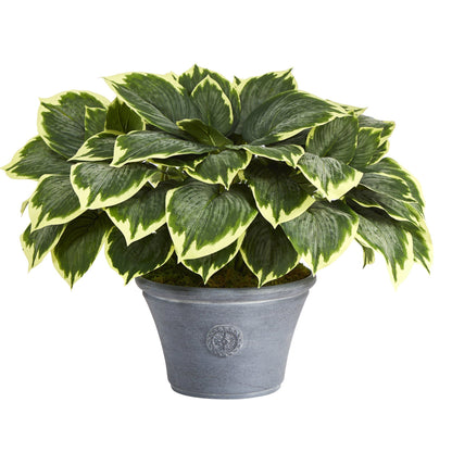 23” Variegated Hosta Artificial Plant in Gray Planter - Tampa Home & Garden Store