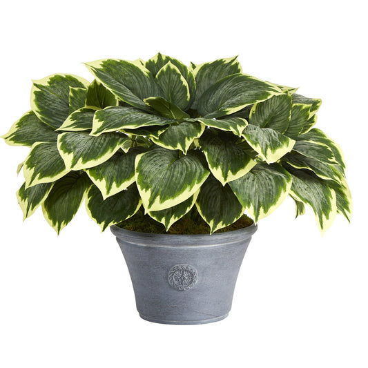 23” Variegated Hosta Artificial Plant in Gray Planter - Tampa Home & Garden Store