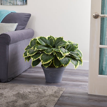 23” Variegated Hosta Artificial Plant in Gray Planter - Tampa Home & Garden Store