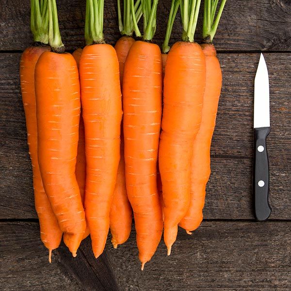 Naval F1 carrot roots, five fresh orange carrots lined on a wooden board on Tampa Home & Garden Store