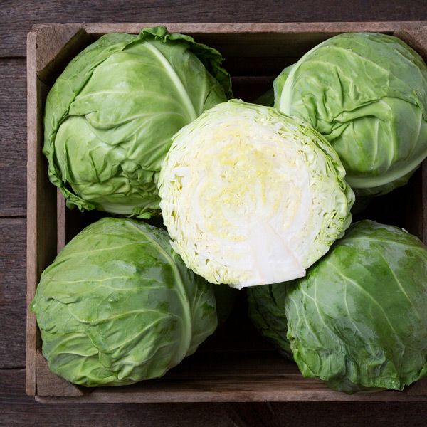 Tiara F1 Cabbage heads; five green heads in crate; cut center reveals pale core Seedtime Store on Tampa Home & Garden Store