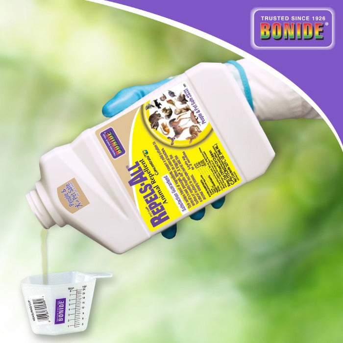Bonide Shotgun Deer & Rabbit Repellent Concentrate bottle with blue glove pouring into cup on Tampa Home & Garden Store