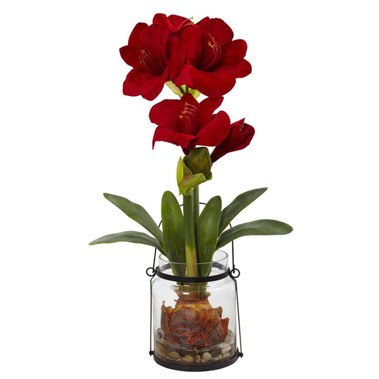 24” Amaryllis w/Vase - Tampa Home & Garden Store