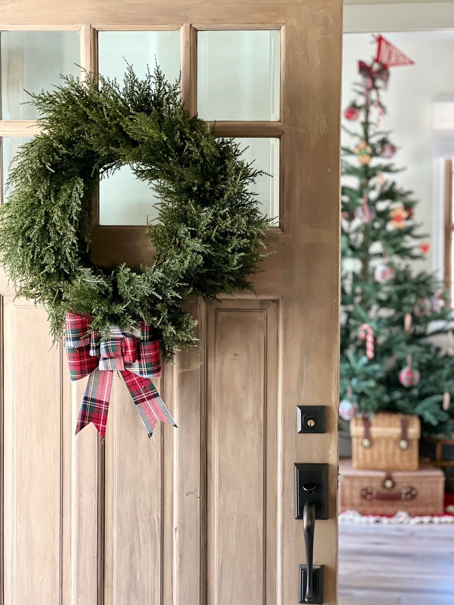 24” Cedar Wreath - Tampa Home & Garden Store
