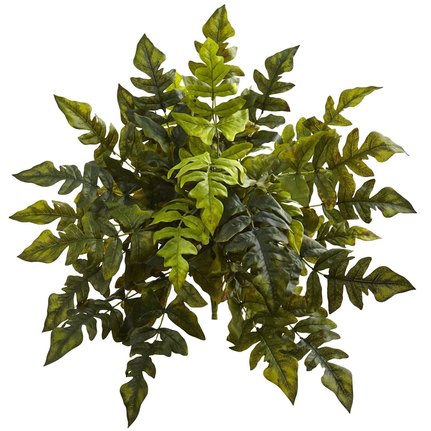 24” Holly Fern Artificial Plant (Set of 2) - Tampa Home & Garden Store