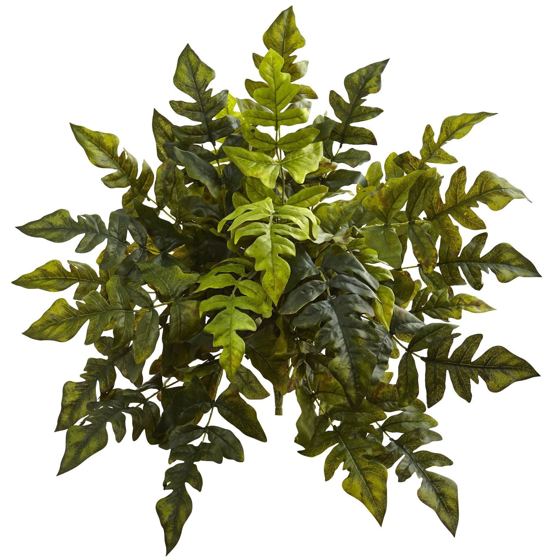 24” Holly Fern Artificial Plant (Set of 2) - Tampa Home & Garden Store