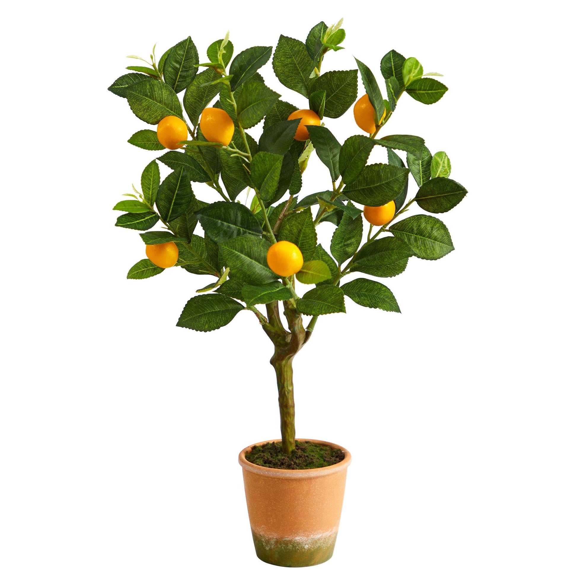 24” Lemon Artificial Tree - Tampa Home & Garden Store