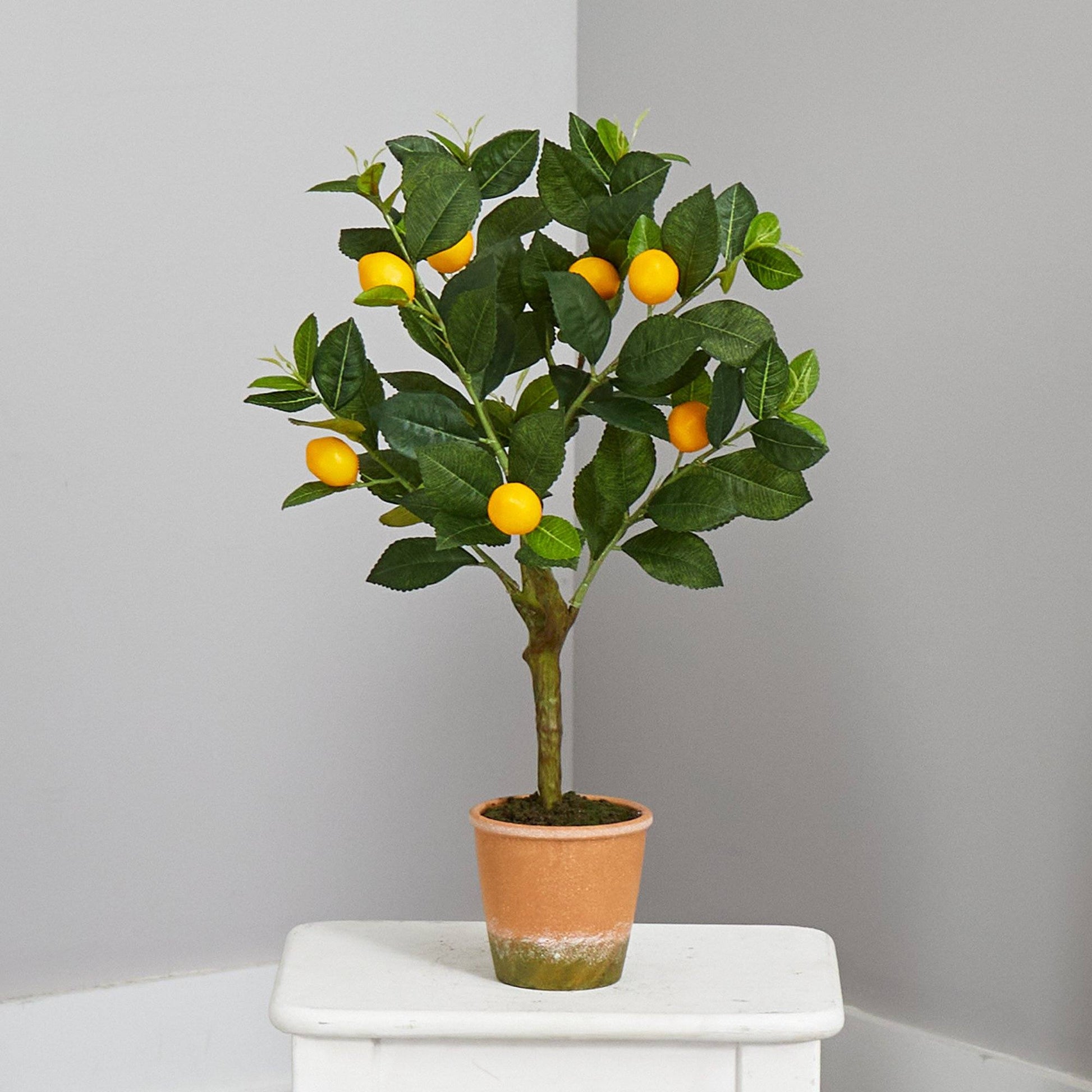 24” Lemon Artificial Tree - Tampa Home & Garden Store