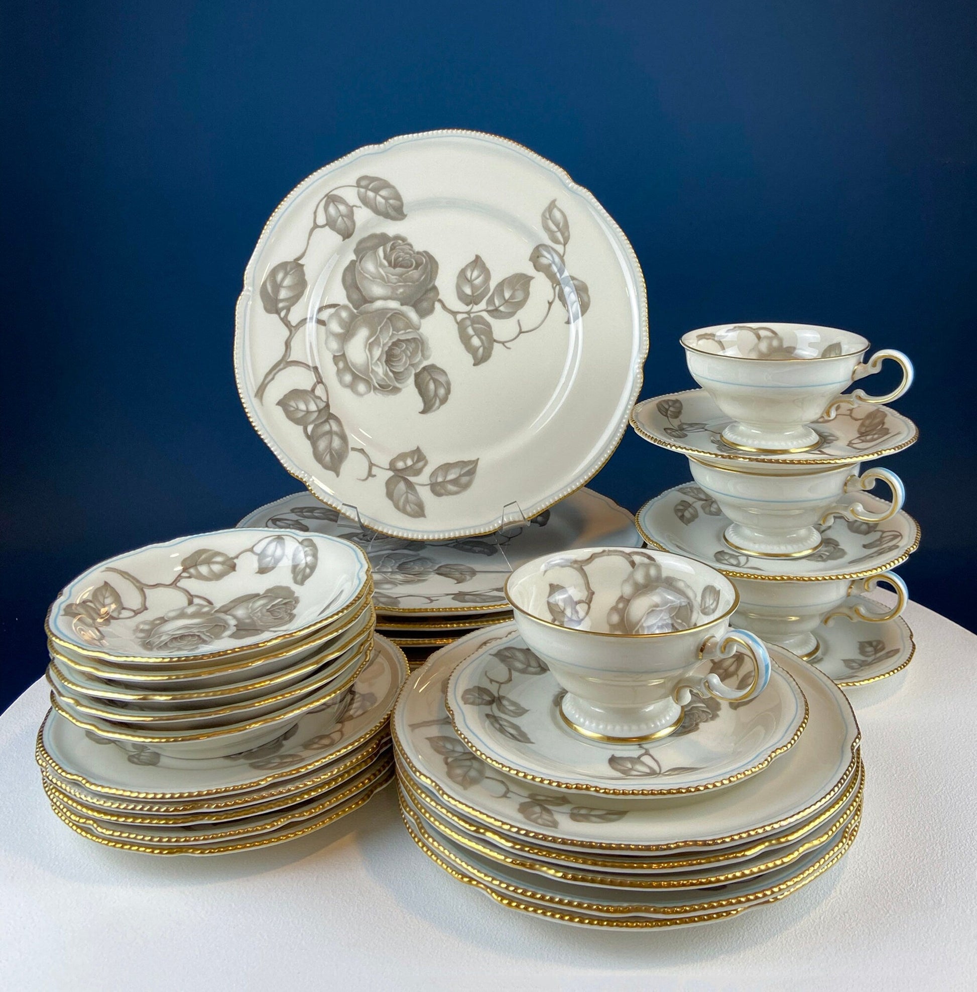 24 Piece Porcelain Dinner Set. Castleton Gloria. Beautiful Neutral Hand Painted Roses. 5 Dinner, Salad, Dessert Plates, Berry Bowls, 4 Cups. - Tampa Home & Garden Store