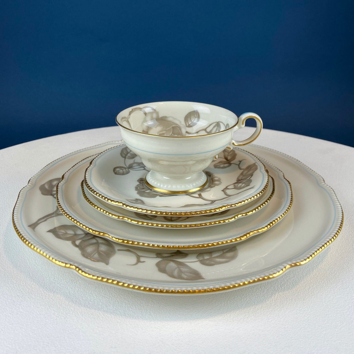 24 Piece Porcelain Dinner Set. Castleton Gloria. Beautiful Neutral Hand Painted Roses. 5 Dinner, Salad, Dessert Plates, Berry Bowls, 4 Cups. - Tampa Home & Garden Store