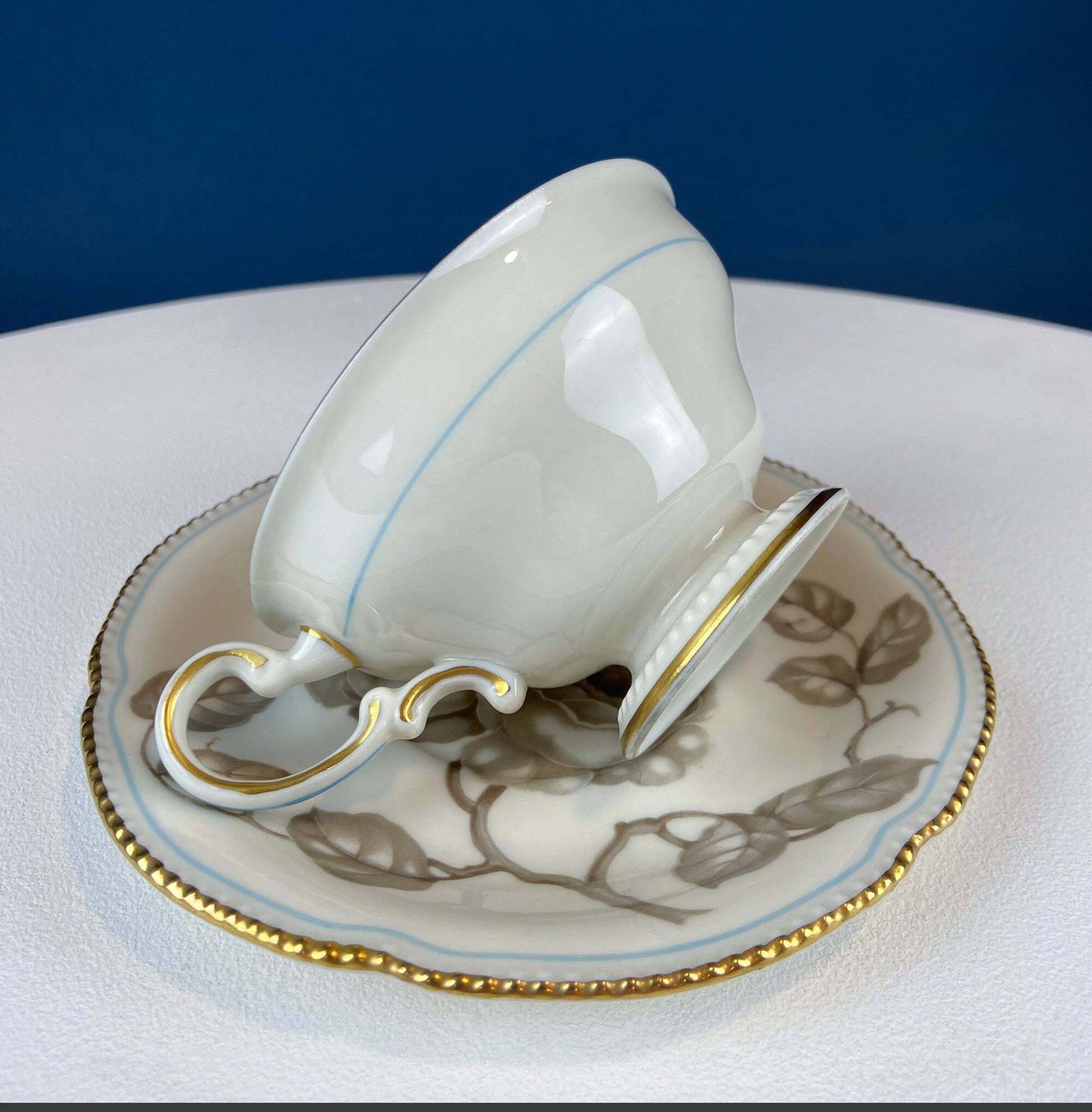 24 Piece Porcelain Dinner Set. Castleton Gloria. Beautiful Neutral Hand Painted Roses. 5 Dinner, Salad, Dessert Plates, Berry Bowls, 4 Cups. - Tampa Home & Garden Store