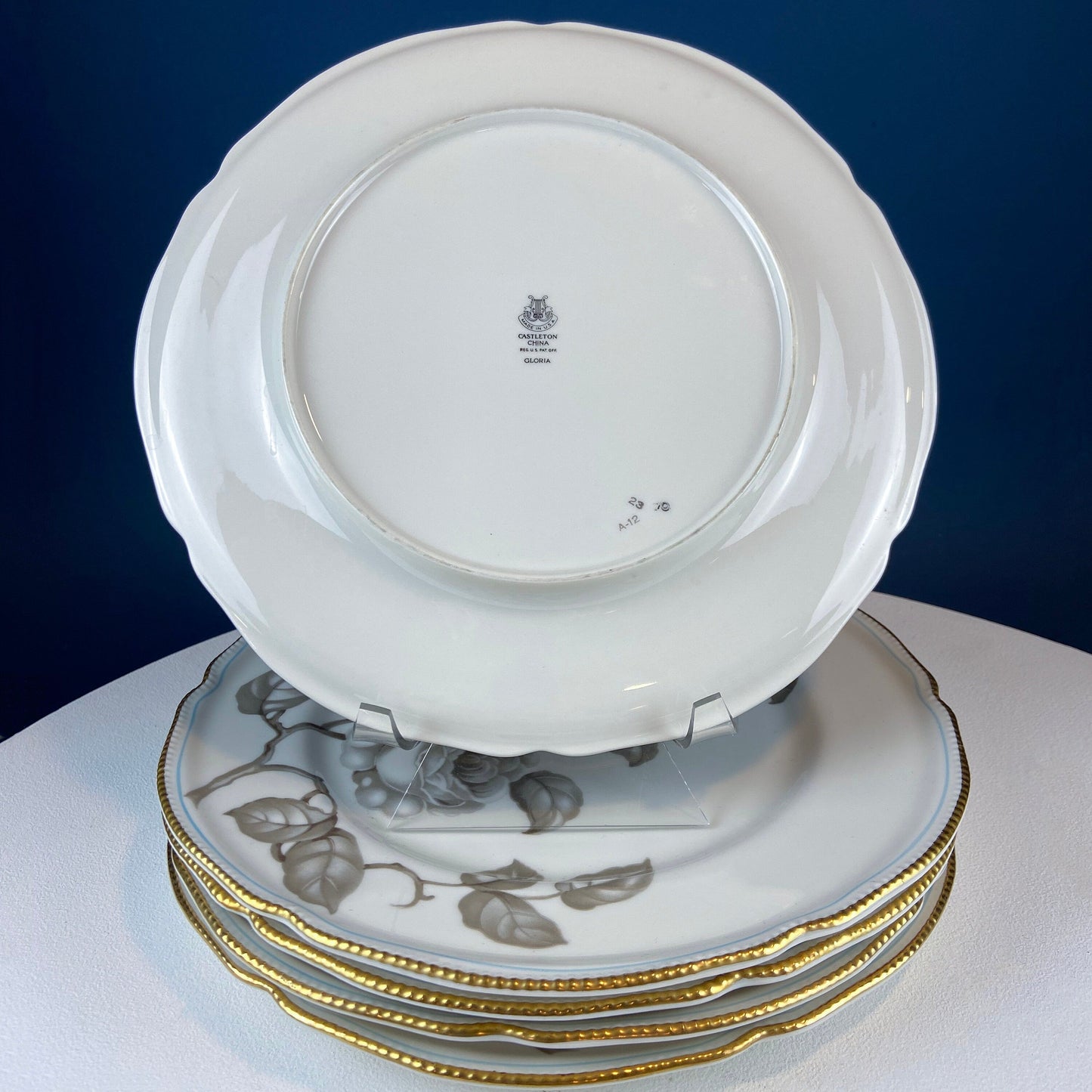 24 Piece Porcelain Dinner Set. Castleton Gloria. Beautiful Neutral Hand Painted Roses. 5 Dinner, Salad, Dessert Plates, Berry Bowls, 4 Cups. - Tampa Home & Garden Store