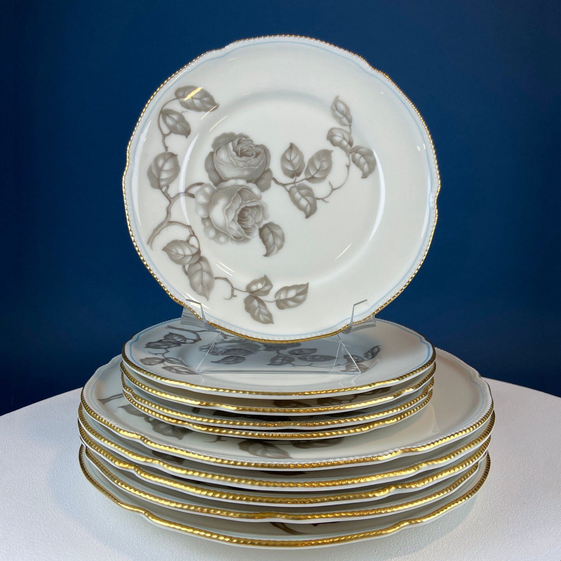 24 Piece Porcelain Dinner Set. Castleton Gloria. Beautiful Neutral Hand Painted Roses. 5 Dinner, Salad, Dessert Plates, Berry Bowls, 4 Cups. - Tampa Home & Garden Store