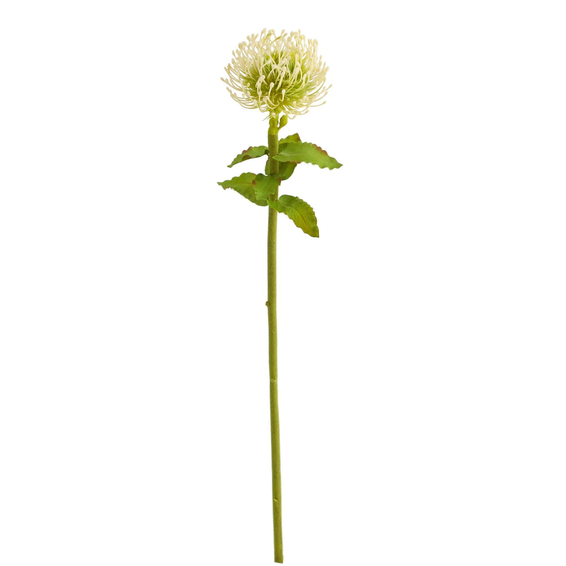 24” Pincushion Artificial Flower (Set of 6) - Tampa Home & Garden Store