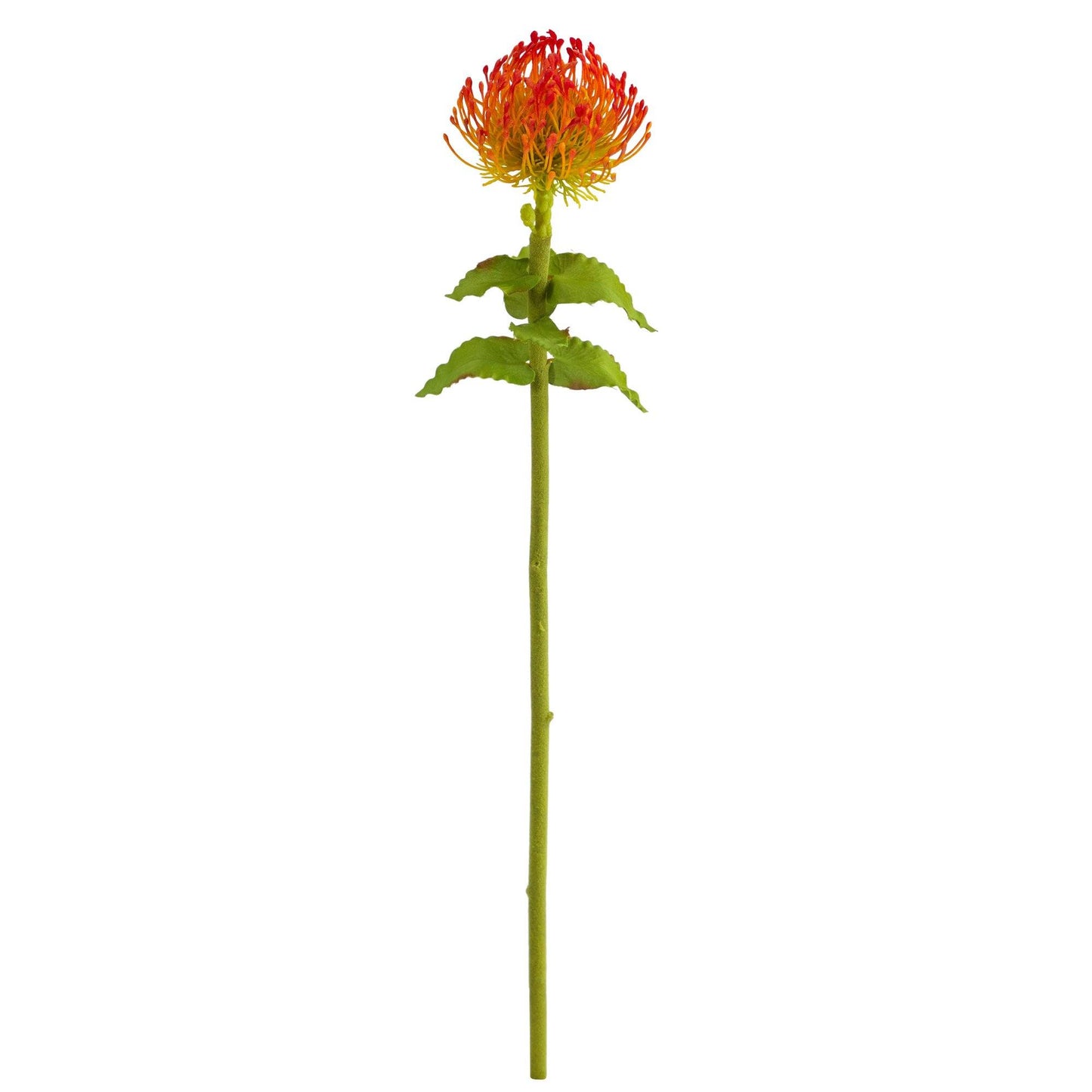 24” Pincushion Artificial Flower (Set of 6) - Tampa Home & Garden Store