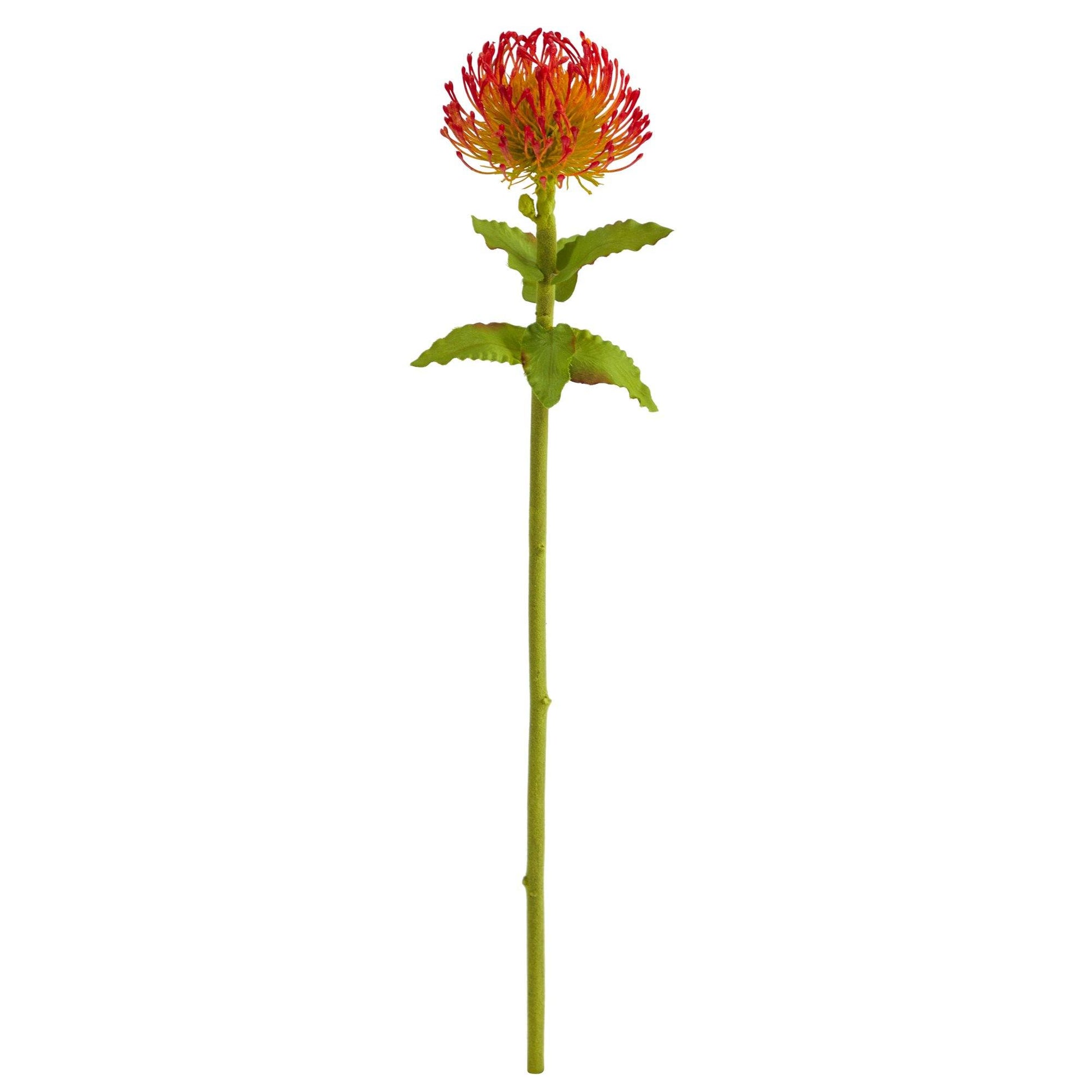 24” Pincushion Artificial Flower (Set of 6) - Tampa Home & Garden Store