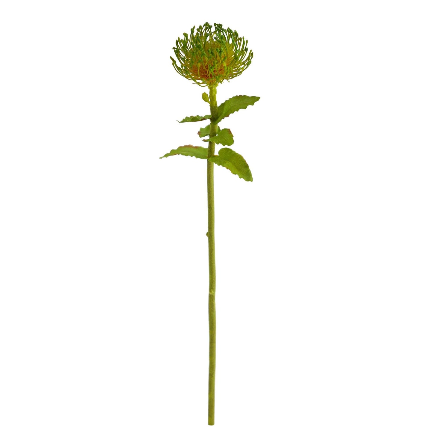 24” Pincushion Artificial Flower (Set of 6) - Tampa Home & Garden Store