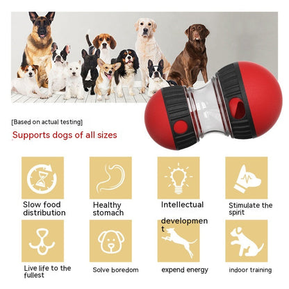Food Dispensing Dog Toy Tumbler Ball by Sell My Stuff red/black with clear center puzzle on Tampa Home & Garden Store