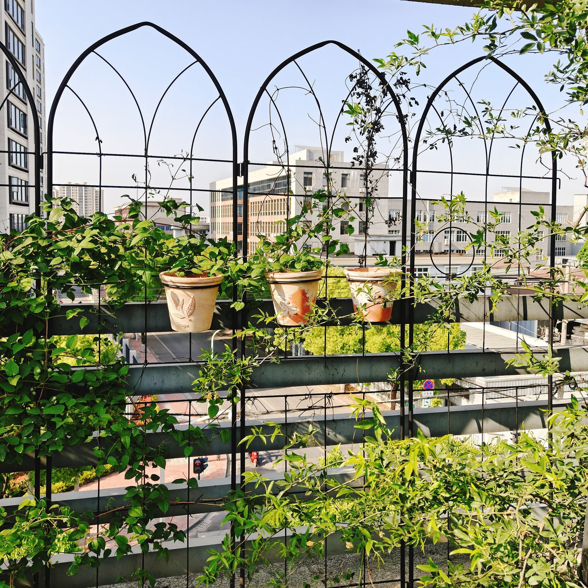 4-pack black metal garden trellis arches with climbing vines on balcony railing on Tampa Home & Garden Store