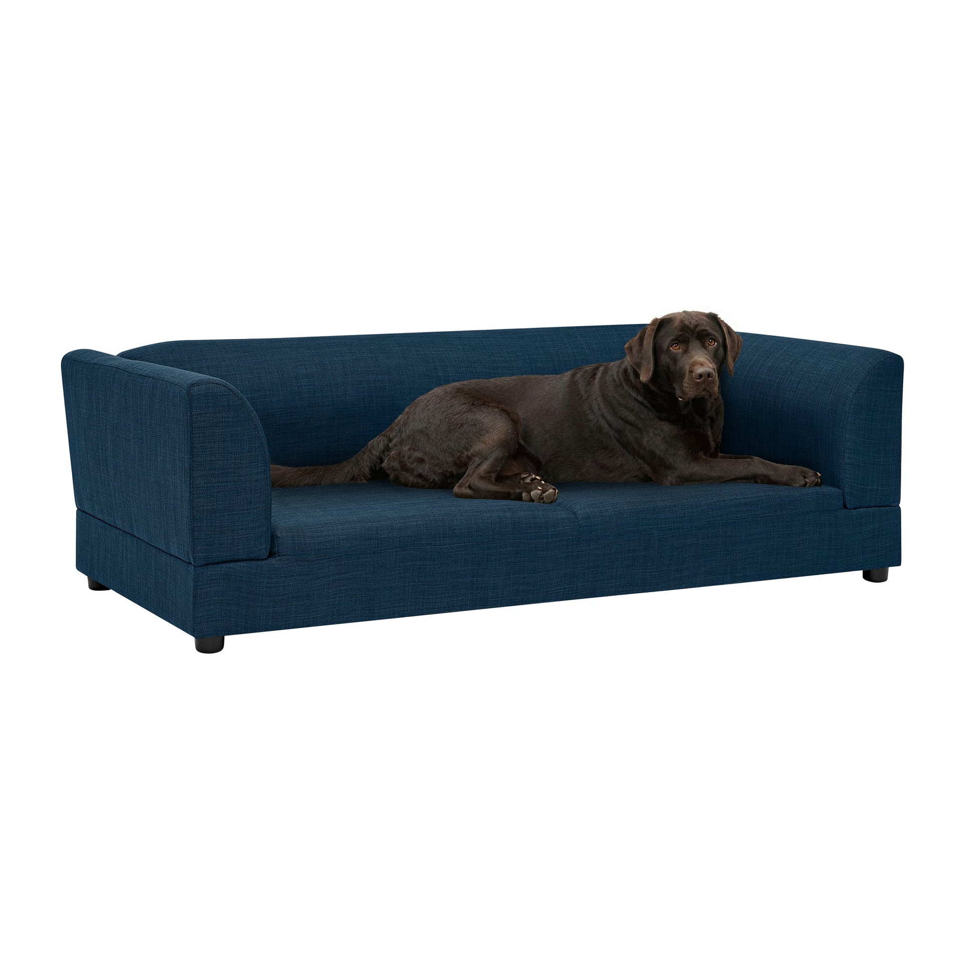 Comfortable Oversized Pet Sofa blue upholstery by HouseOfZazla with a brown dog on Tampa Home & Garden Store