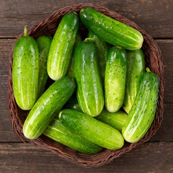 Double Yield Pickling Cucumber seeds green striped cucumbers in a basket on Tampa Home & Garden Store