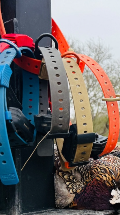 Field Setup (3 Collars) Hoss Straps dog collars, blue red black gray tan orange, 3-pack on Tampa Home & Garden Store