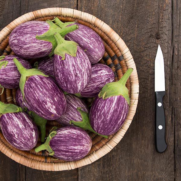 Piccolo F1 eggplants in a basket of purple striped fruits with green stems Seedtime Store on Tampa Home & Garden Store