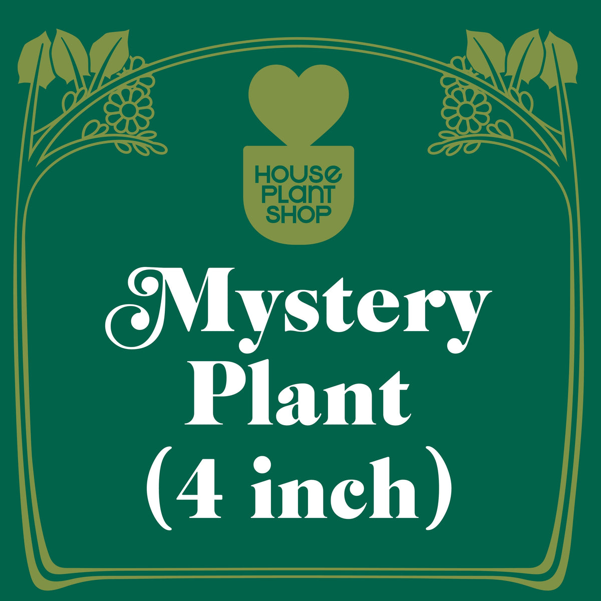 Mystery Pet-Friendly House Plant banner featuring House Plant Shop logo on a green and gold decorative arch on Tampa Home & Garden Store