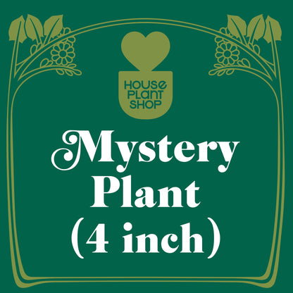 Mystery Pet-Friendly House Plant banner featuring House Plant Shop logo on a green and gold decorative arch on Tampa Home & Garden Store